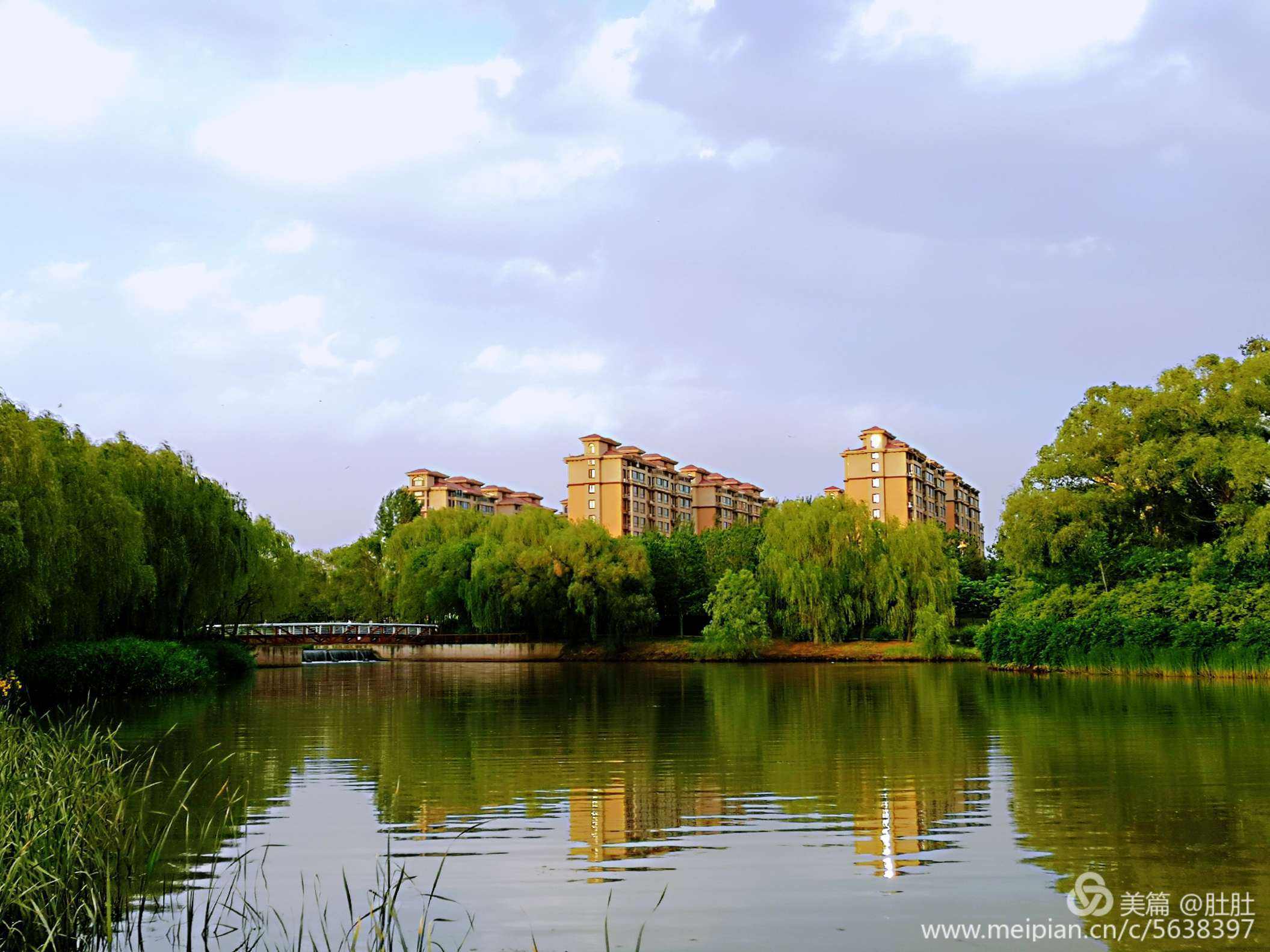 我家门前的风景(我家门前的风景作文300字)