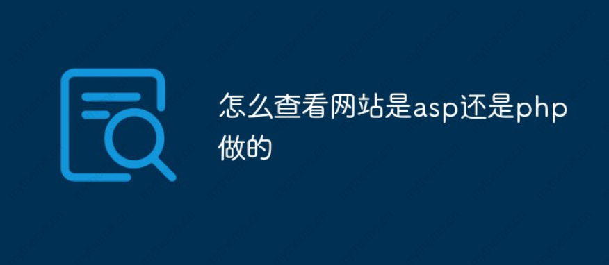 怎么才能建立一个自己的网站(怎样才能自己建一个自己的网站)