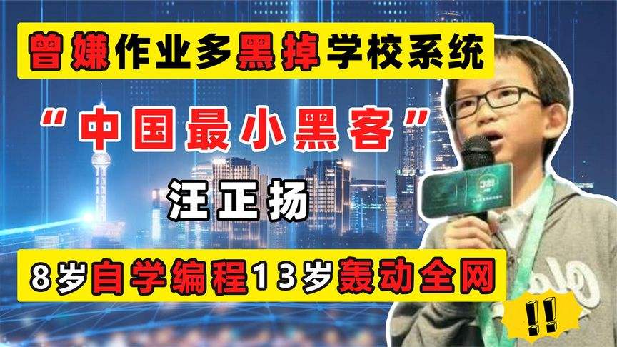 中国最年轻的黑客八岁(中国最小黑客年仅12岁)