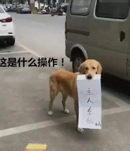 往别人家门上写字侮辱(在别人家门上写字控诉犯法吗)