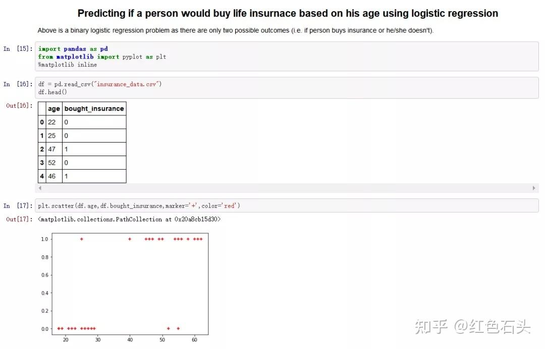 python多大年龄学合适(python适合多大的孩子学)