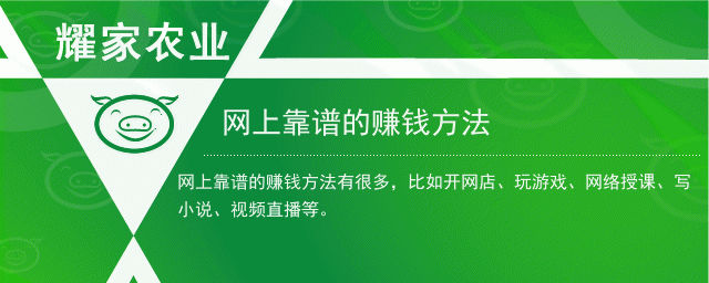 网上最靠谱的赚钱方法(网上有什么快速可靠赚钱的方法吗)