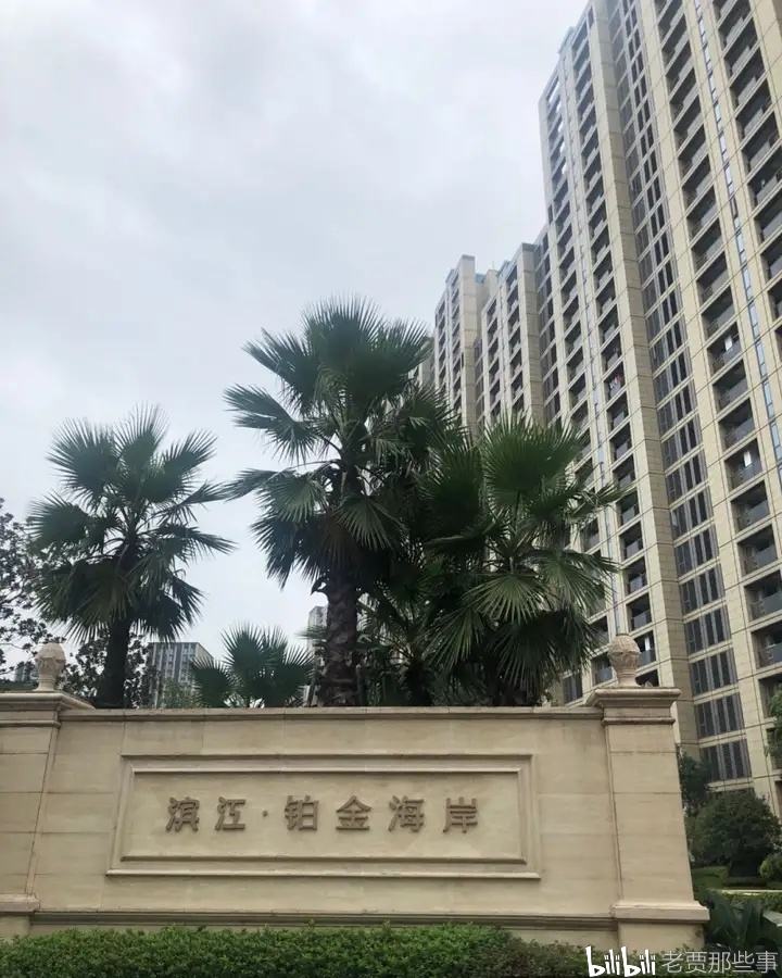 为什么小区名字不能带府(为什么小区名字不让带府字)