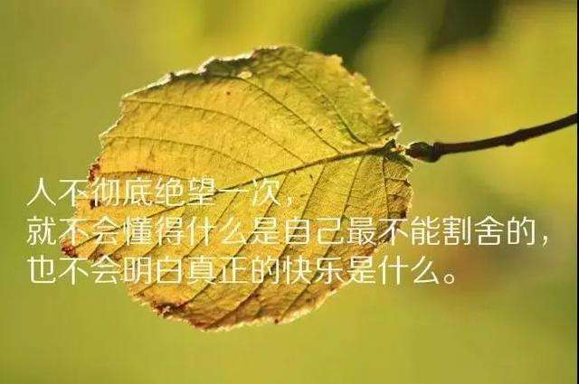 哲理短句(哲理短句人生感悟)