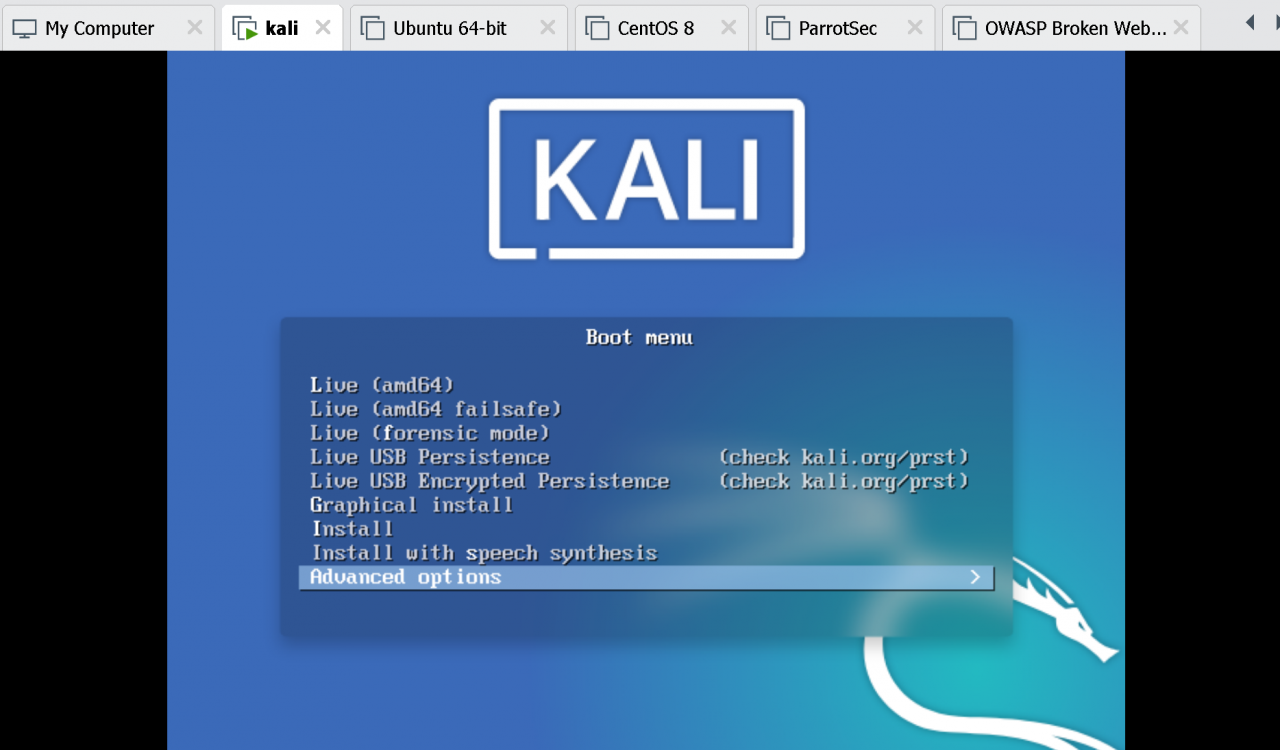 kalilinux工具使用教程(kalilinux工具最适合新手的)