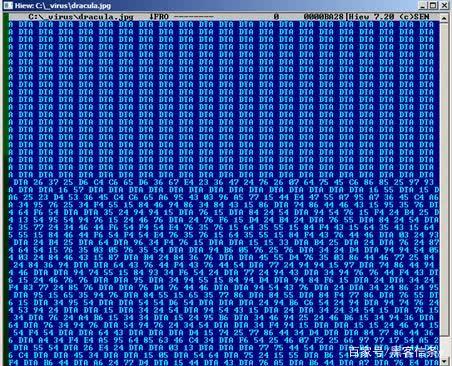 黑客病毒代码大全(黑客病毒代码大全可复制)