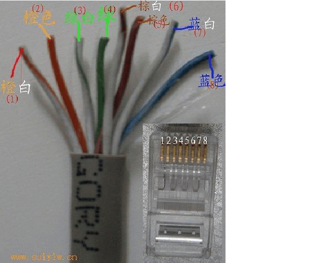 做网线头子的顺序(做网线头子的顺序不能错吗)