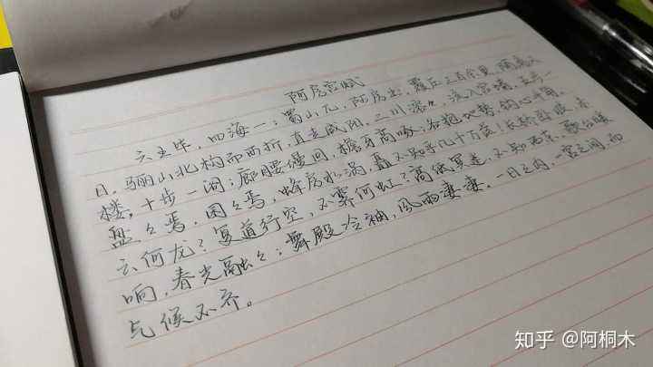 关于先知那张数字纸上写了什么的信息