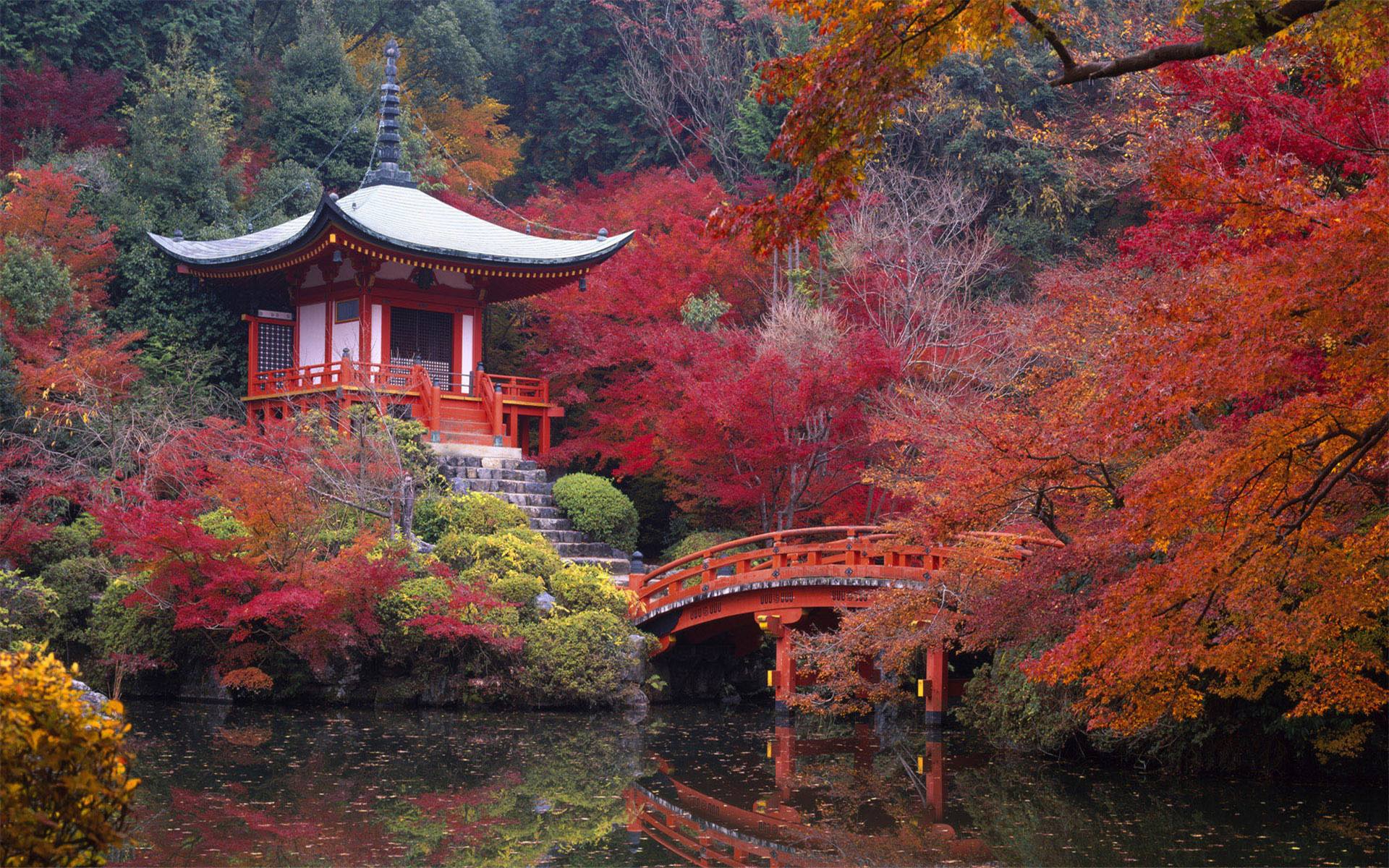 风景图片(风景图片大全 大自然 花草)