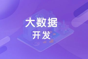 0基础学it学哪个好(新手学it学什么比较好)