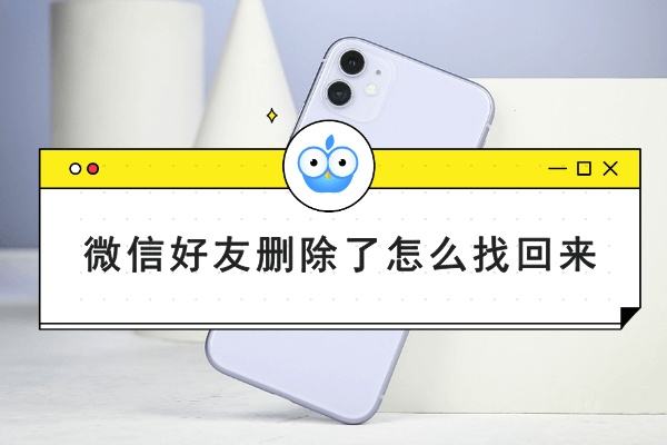 怎么加回删掉的微信好友(怎么加回删掉的微信好友有转账记录)