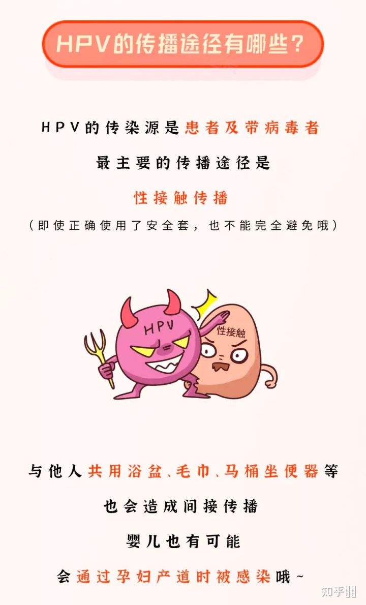 hpv病毒是什么意思(hpv病毒是什么意思怎么治)