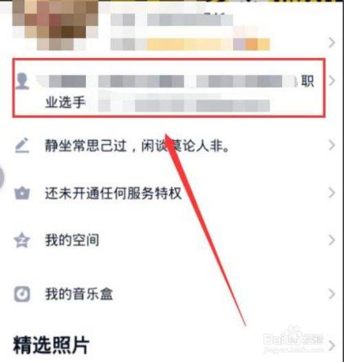 官方认证职业选手代码复制(职业选手认证代码大全可复制)