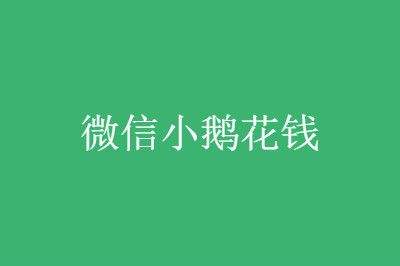 花钱查微信记录真的吗(网上花钱查微信记录是真的吗)