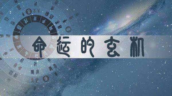 出生年月日看命运(出生年月日看命运1987农月6月16日晚上九点十分)