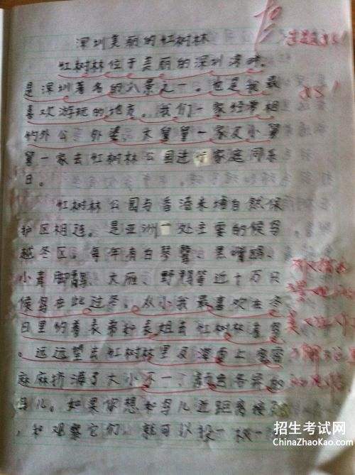 摘抄优秀作文10篇(摘抄优秀作文10篇500字)