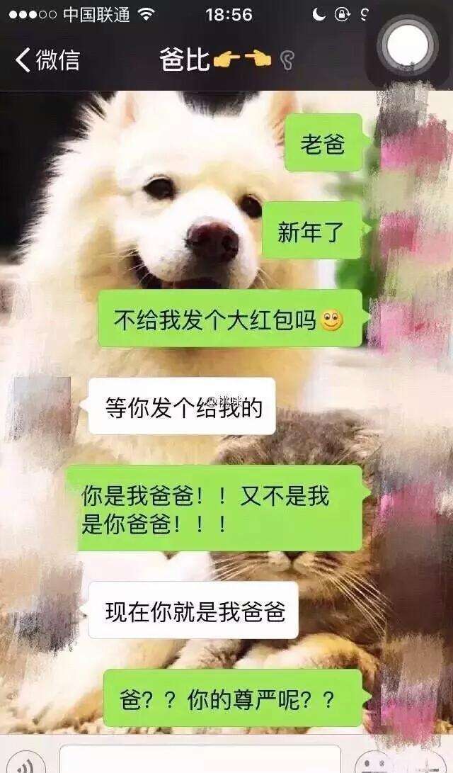 怎么看得到别人的聊天记录(怎样才能查看到别人的聊天记录)