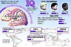 巴托丽智商(巴托丽智商175是真的吗)