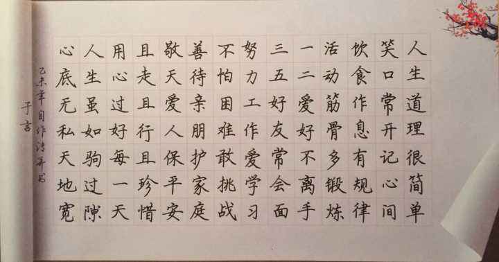 怎样才能把字写好看(怎样才能把字写好看两百字的作文)