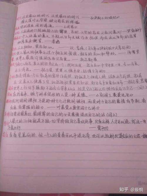 作文素材摘抄300字(作文素材摘抄300字加点评)