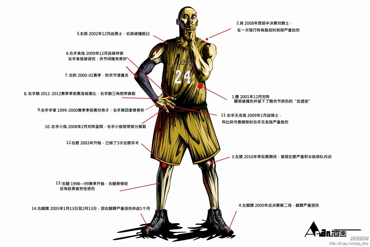 科比遗骸草图(科比遗骨照片原图1)