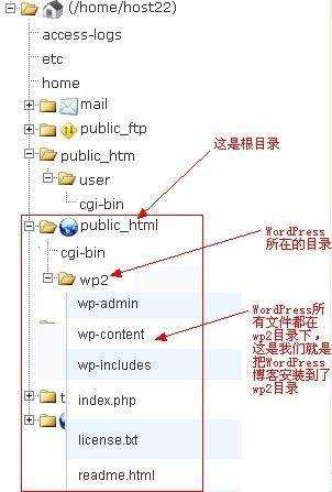 怎样建立自己的网站(怎样建立自己的网站平台APP)