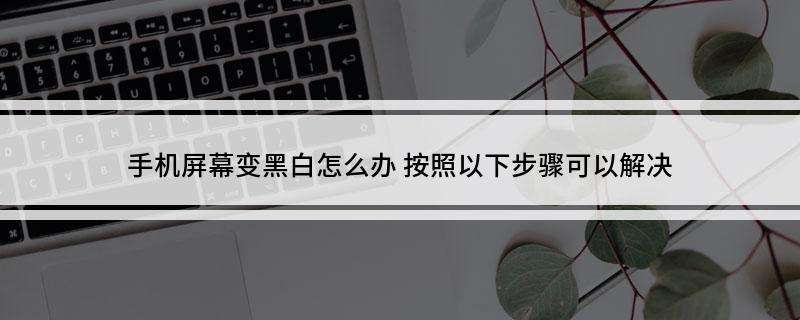 手机屏幕变黑白了怎么还原彩色(安卓手机屏幕变黑白了怎么还原彩色)