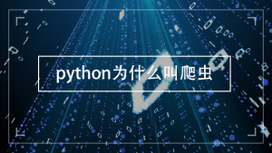 python为什么叫爬虫(python为什么叫爬虫中国大学mooc)