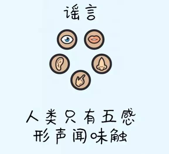 冷知识素材(冷知识素材网)