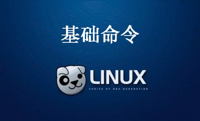 linux系统入门命令(山东大学linux实验一)