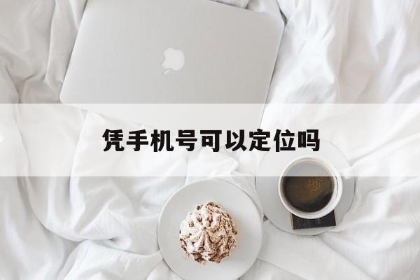 凭手机号可以定位吗(可以通过手机号定位吗)