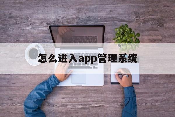 怎么进入app管理系统(怎么进入app管理系统控制)