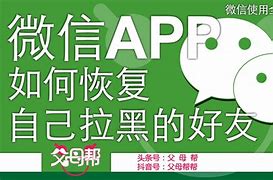 被拉黑怎么加回来黑客联系(被拉黑怎么加回来黑客联系方式)