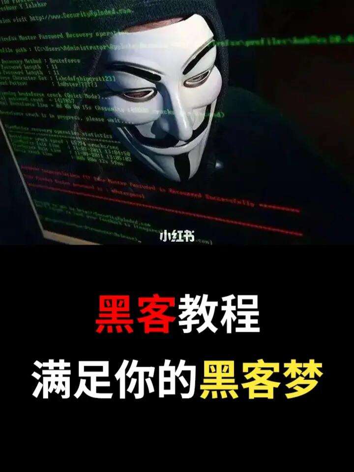 职业手机黑客联系方式(手机黑客技术交流论坛)